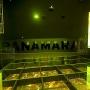 panama museum glassfloor
